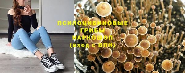 дурь Нефтекумск