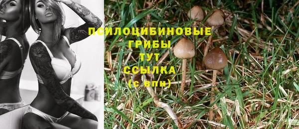 ешки Новокубанск