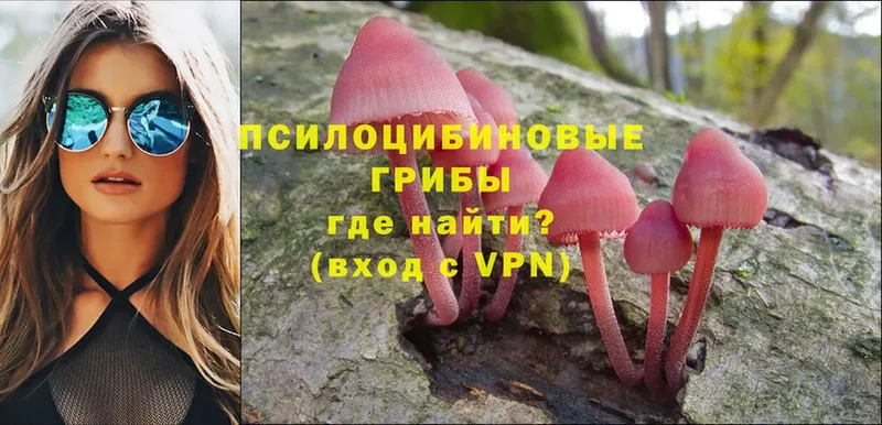 Псилоцибиновые грибы MAGIC MUSHROOMS  Омск 