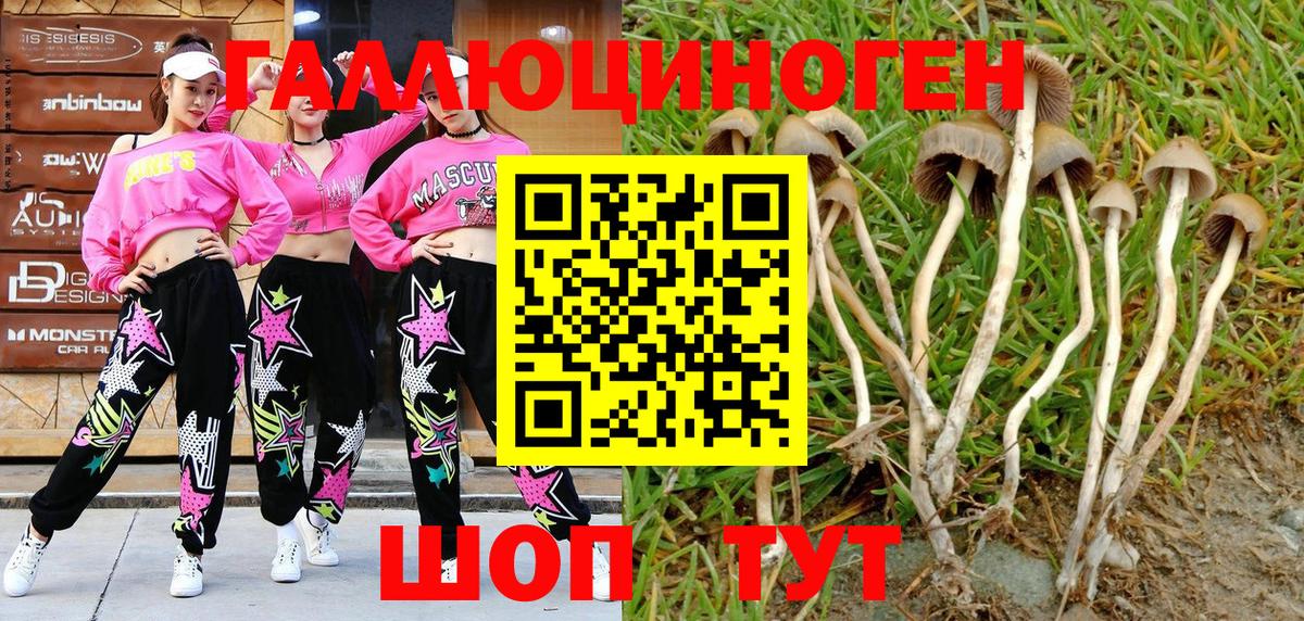 Псилоцибиновые грибы MAGIC MUSHROOMS  Вход с VPN  Галлюциногенные грибы MAGIC MUSHROOMS  Омск 