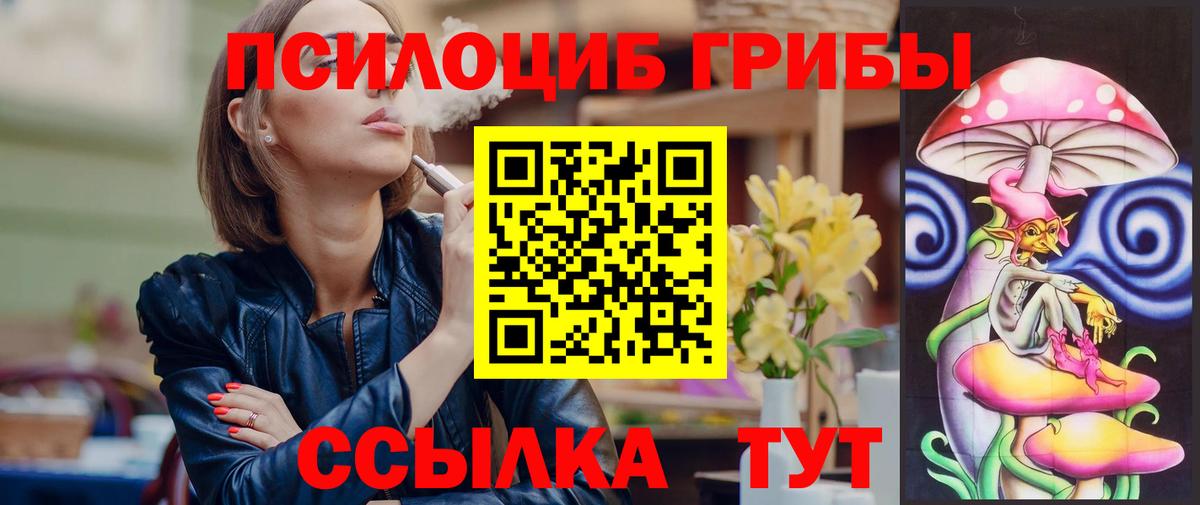 Псилоцибиновые грибы Psilocybine cubensis  Омск  Псилоцибиновые грибы Psilocybine cubensis 